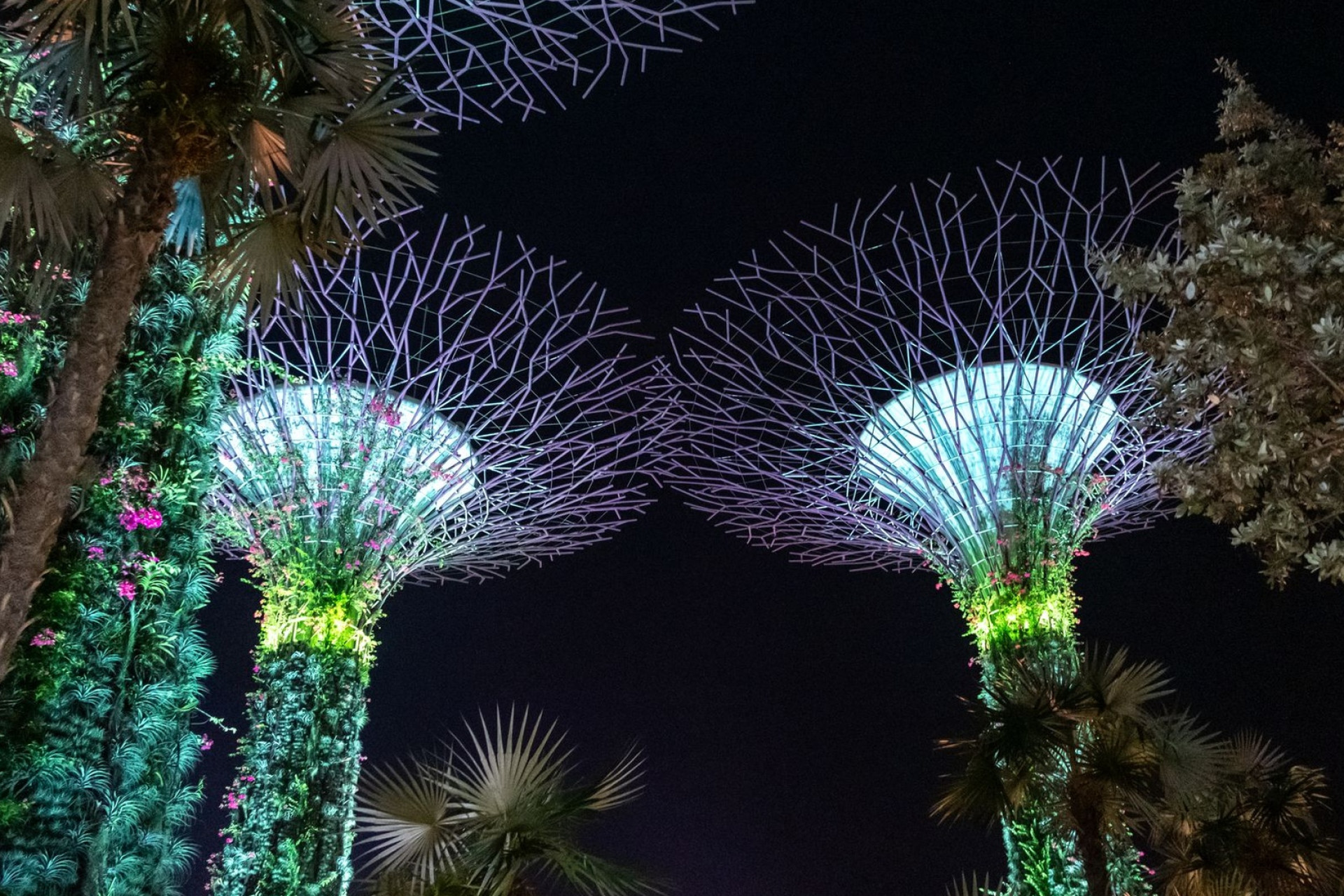 Cidade de Singapura – Singapura