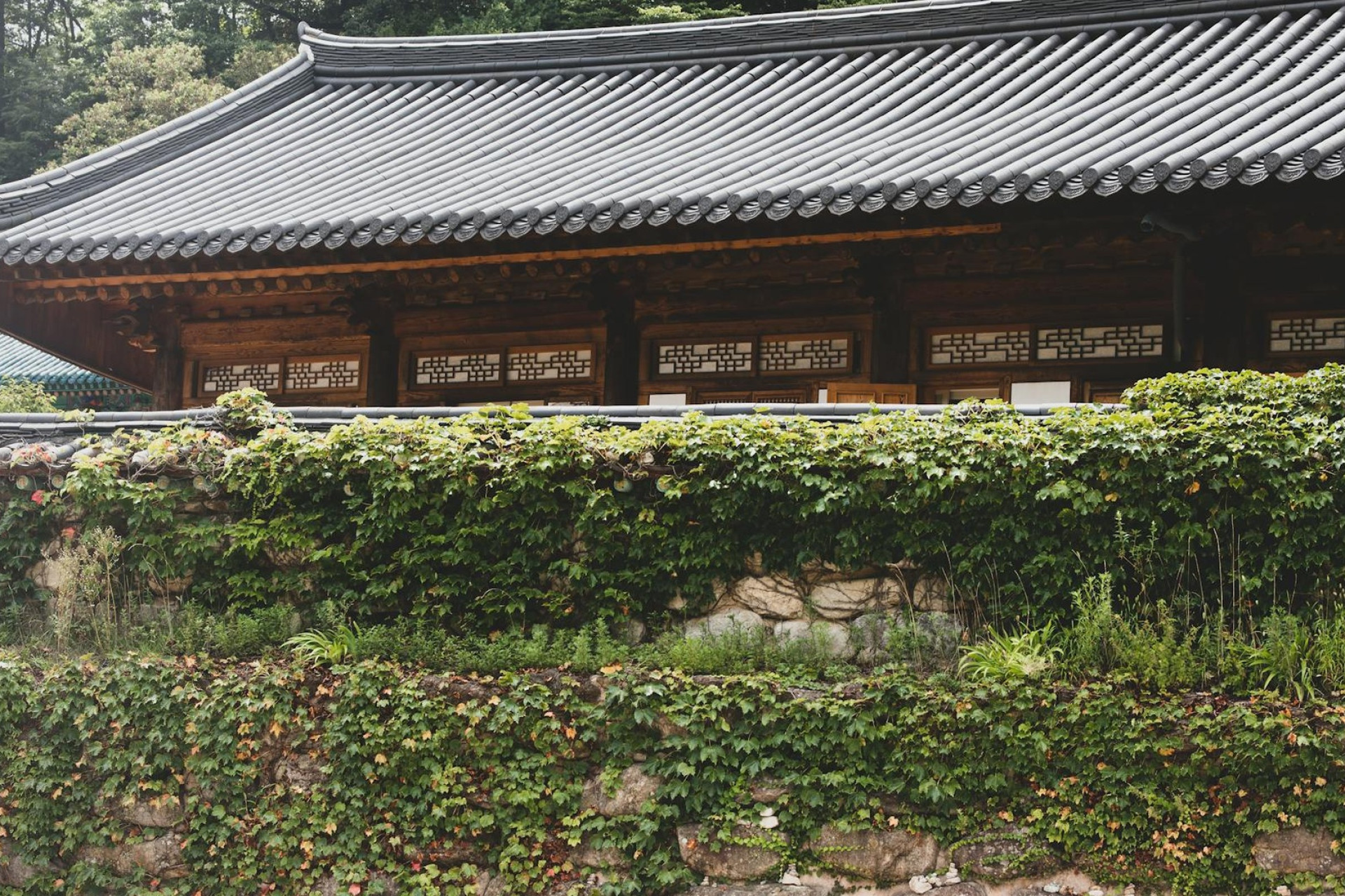 Cidade de Seul – Coreia do Sul
